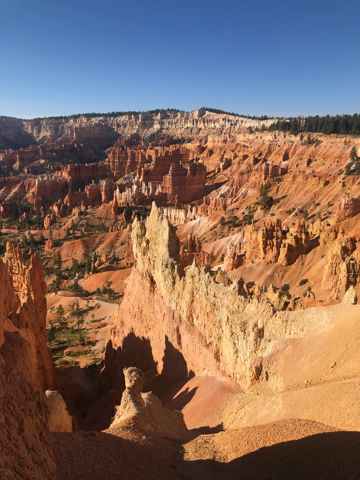 Bryce Canyon hoodoos