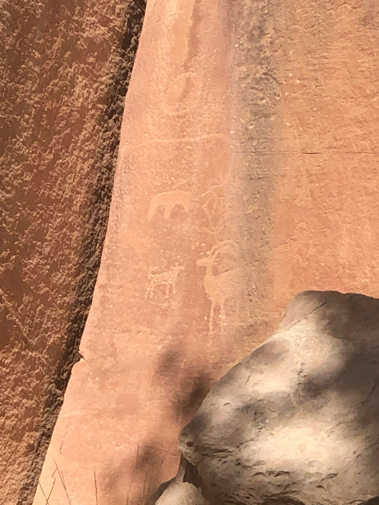 Petroglyphs at Capitol Reef