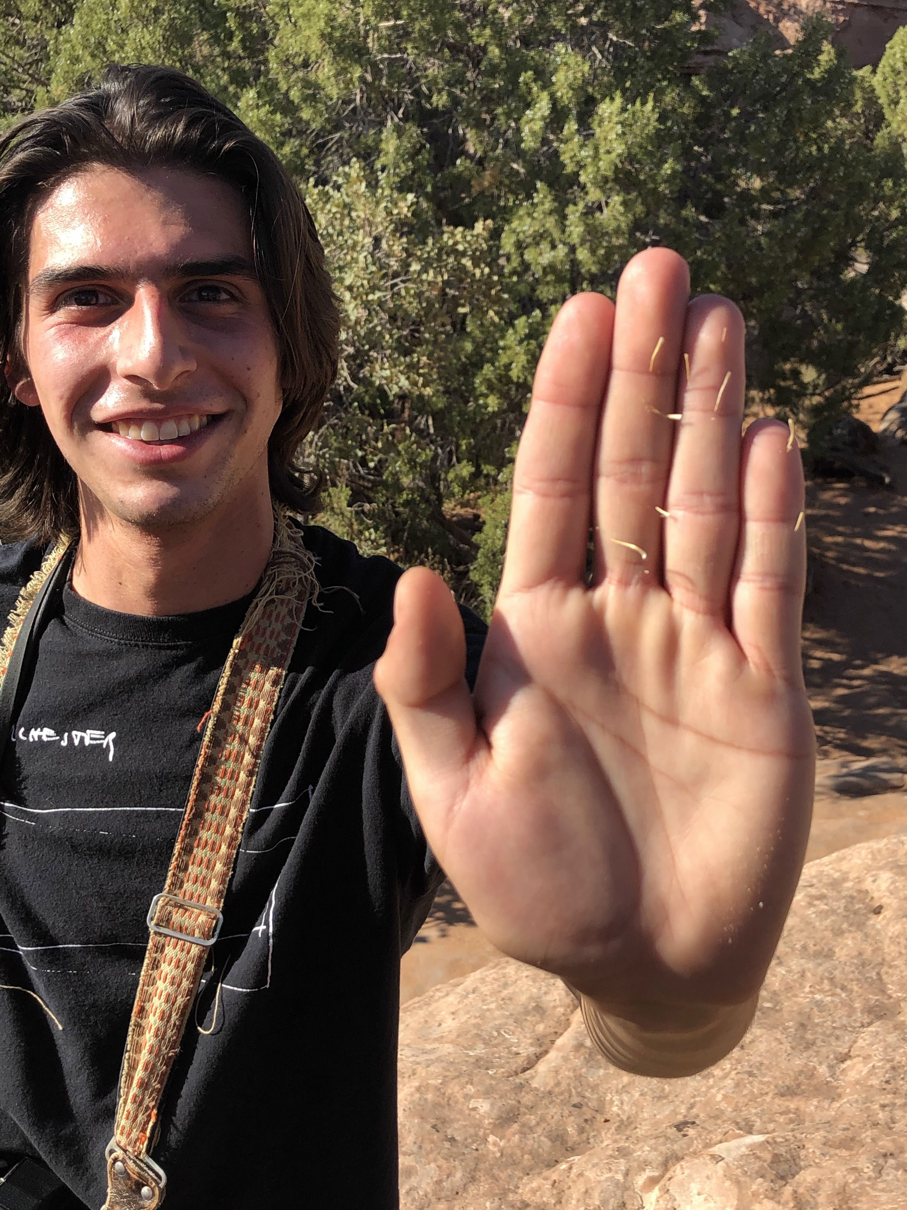 Max and the cactus