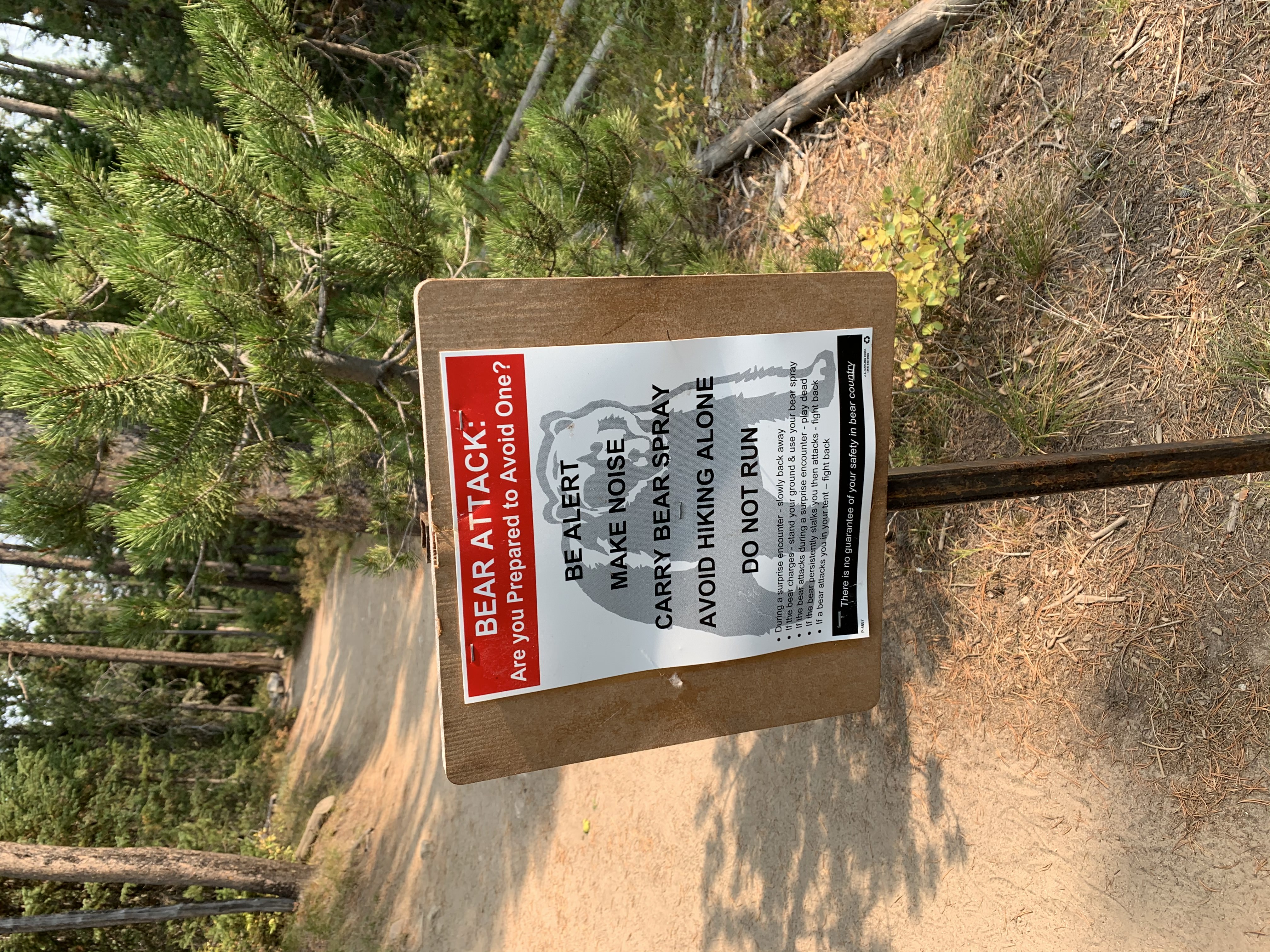 Bear spray sign