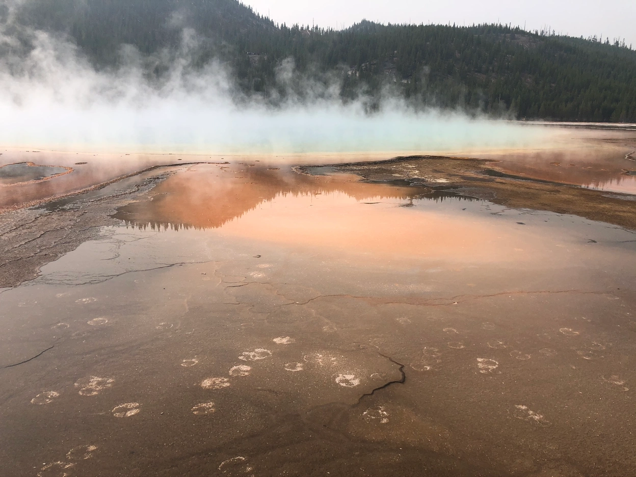 Yellowstone
