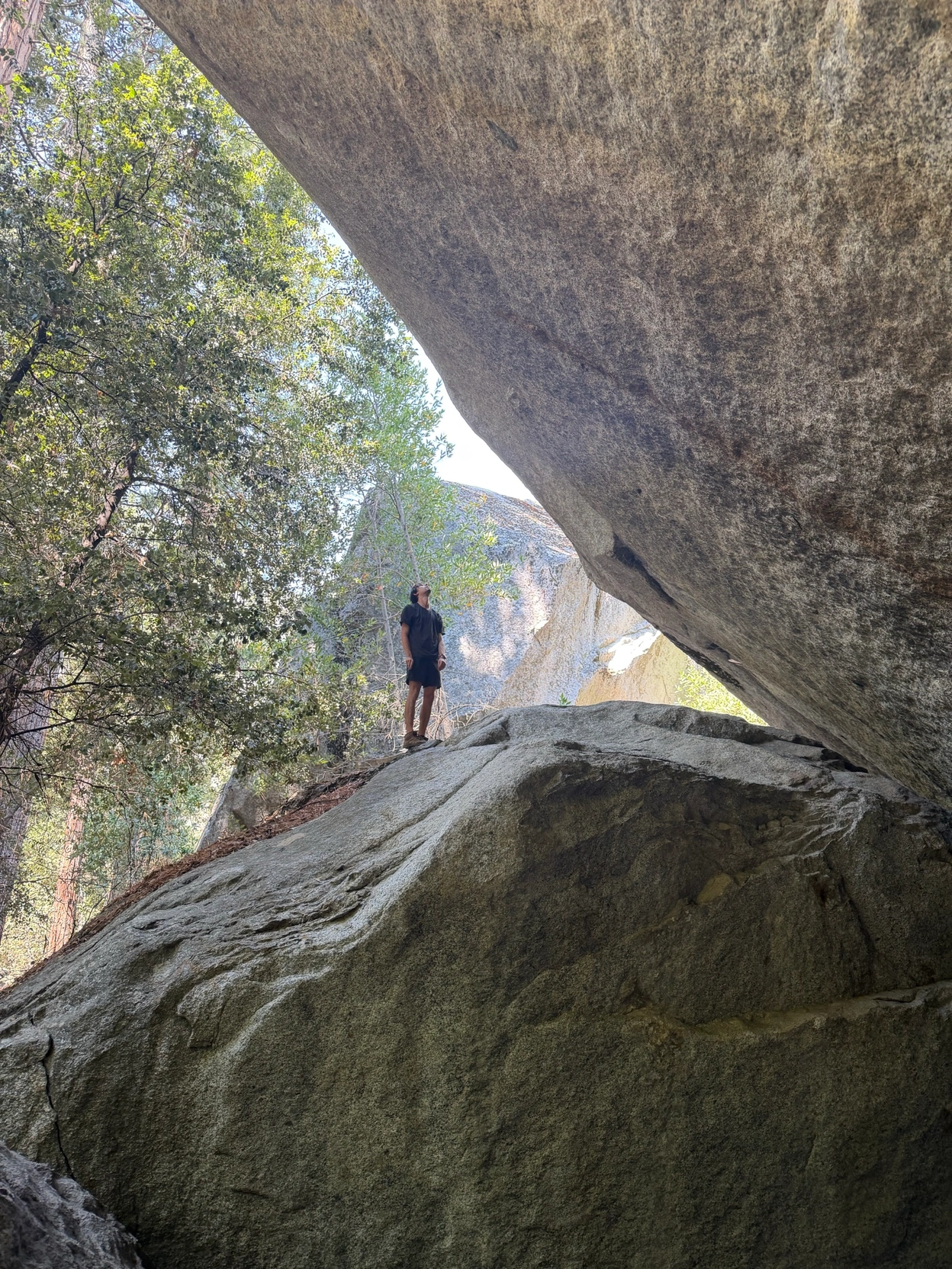 Petroglyphs at painted rock
